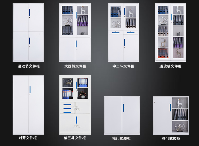 海發(fā)HF-GGLS系列文件柜，鋼制文件柜，辦公文件柜